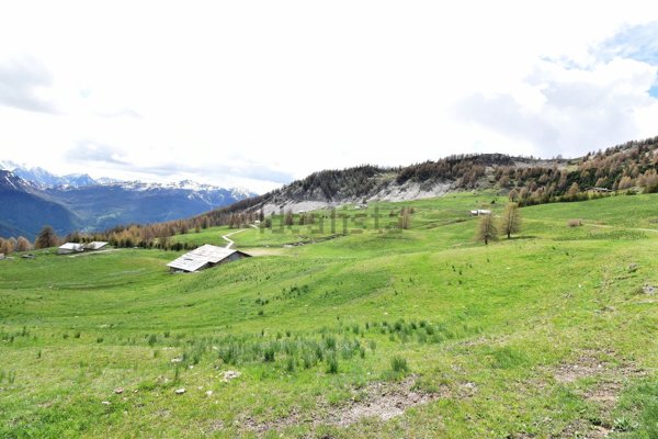 quadrivano in vendita a Sestriere