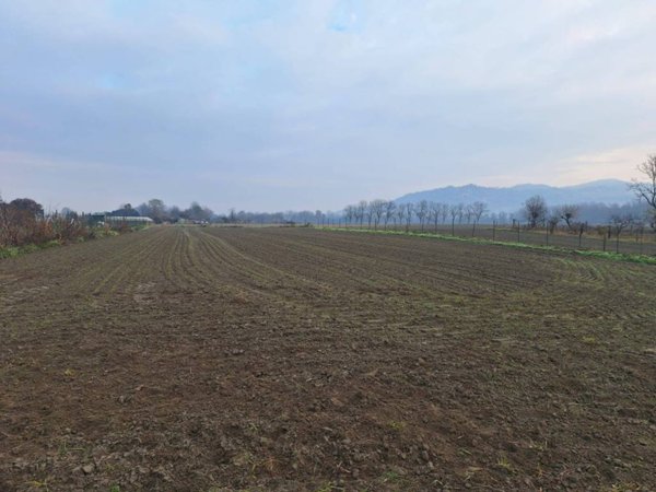 terreno edificabile in vendita a Settimo Torinese in zona Mezzi Po
