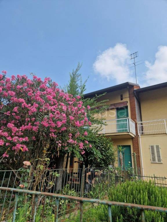 immagine annuncio 0 di 15