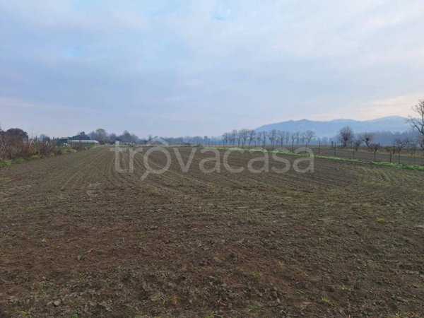 terreno edificabile in vendita a Settimo Torinese in zona Mezzi Po