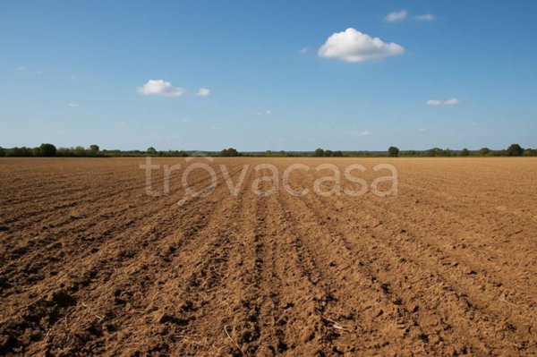 terreno agricolo in vendita a Settimo Torinese