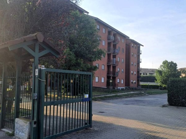box auto in vendita a Settimo Torinese
