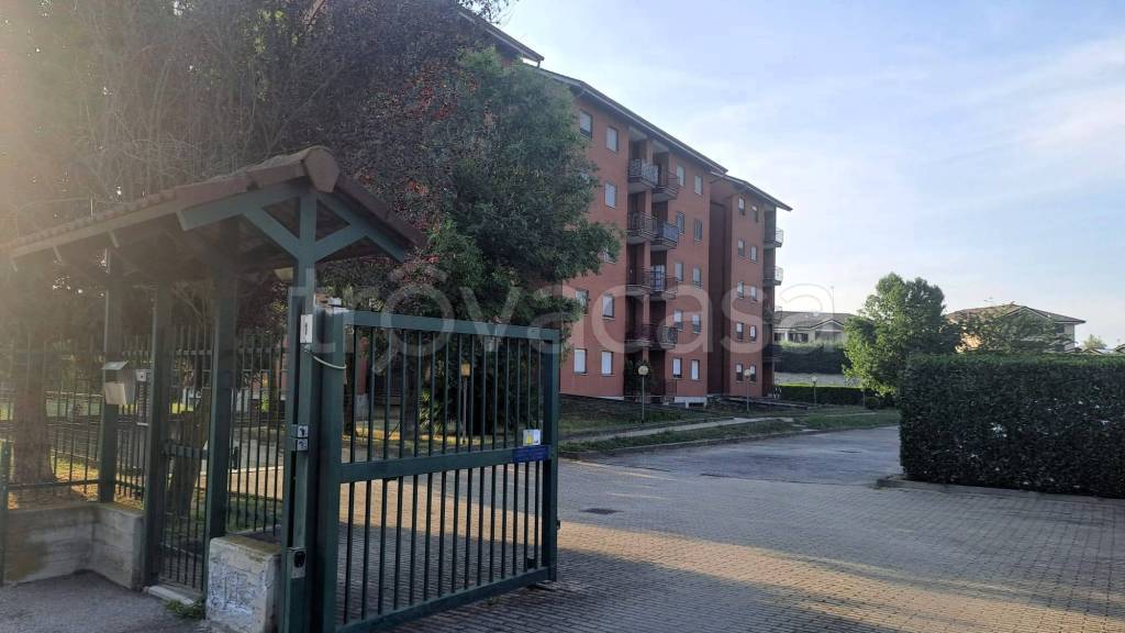 box auto in vendita a Settimo Torinese