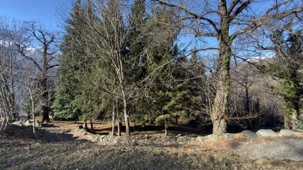 esavano in vendita a Settimo Vittone