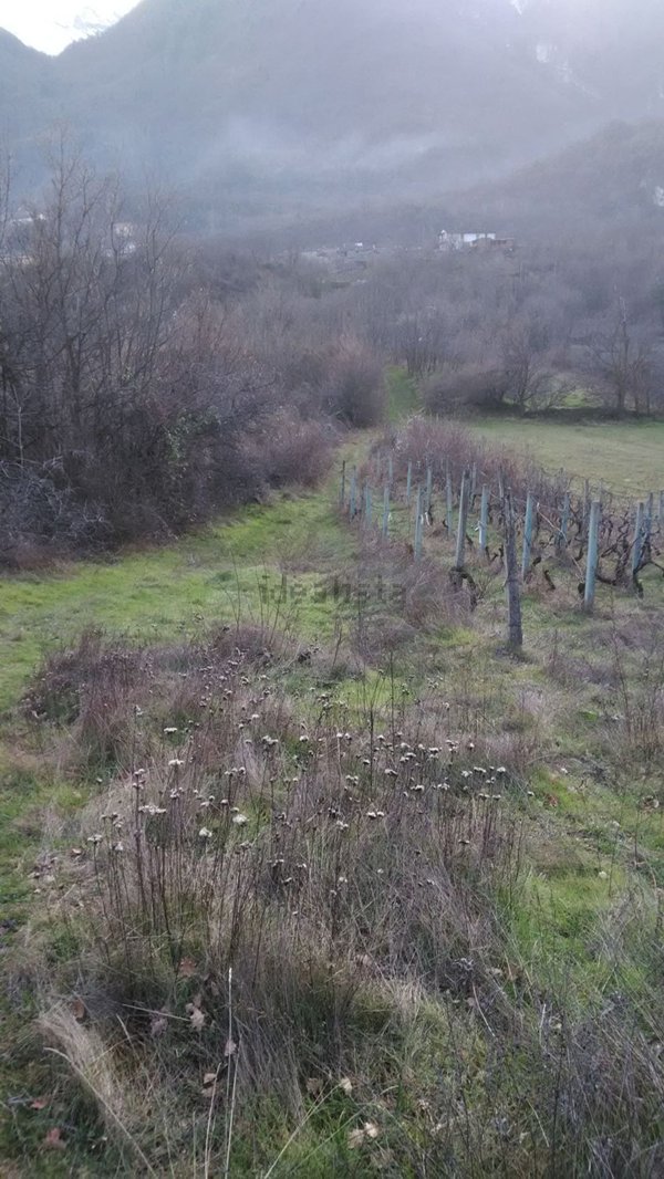 terreno agricolo in vendita a Susa