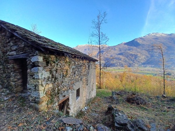 quadrivano in vendita a Tavagnasco