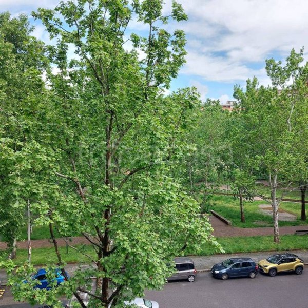 appartamento in vendita a Torino in zona Mirafiori Sud
