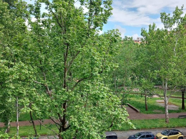 appartamento in vendita a Torino in zona Mirafiori Sud