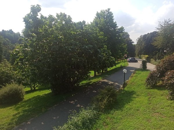 appartamento in vendita a Torino in zona Borgo Po