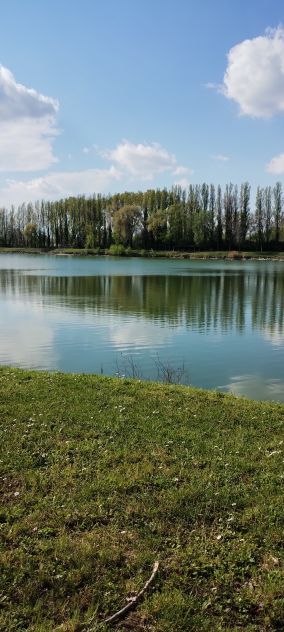 negozio in vendita a Torino