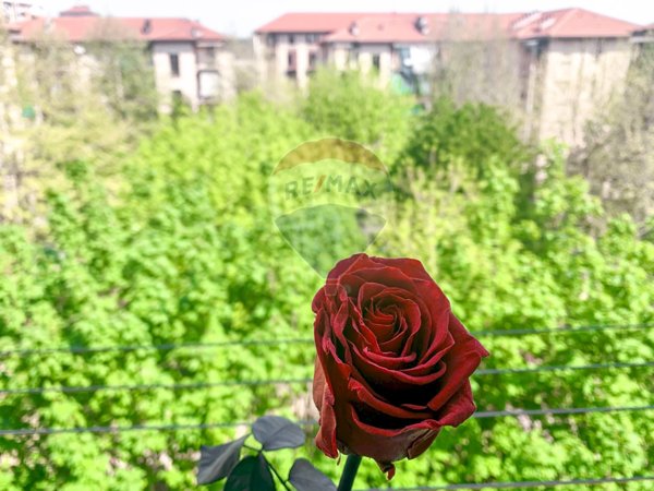 appartamento in vendita a Torino in zona Crocetta