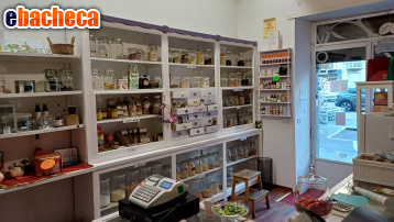 negozio in vendita a Torino