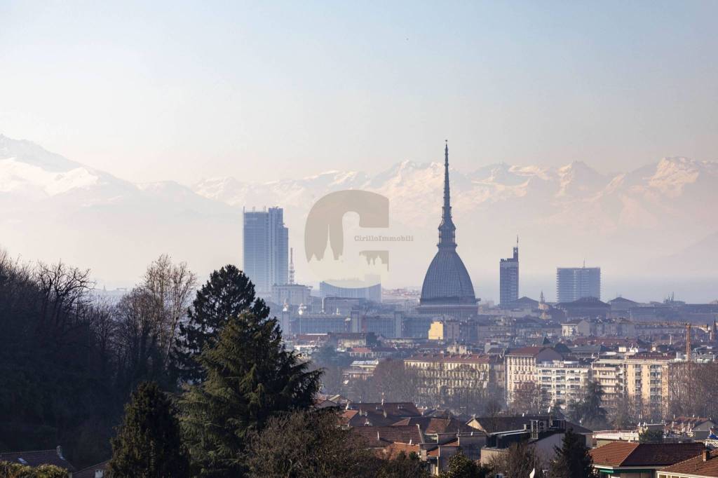 appartamento in vendita a Torino in zona Madonna del Pilone