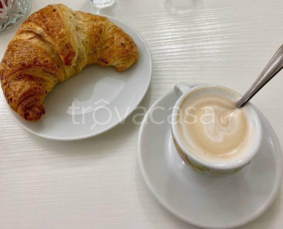 trivano in vendita a Torino in zona Cit Turin