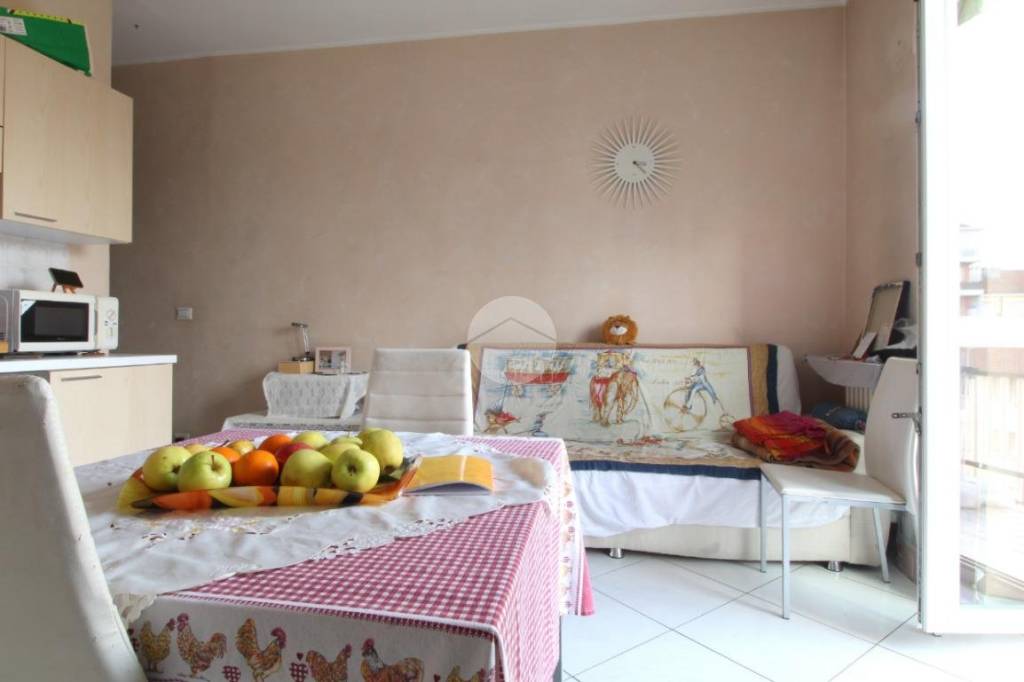 appartamento in vendita a Torino in zona Madonna di Campagna