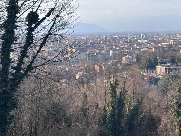 immagine annuncio 0 di 15