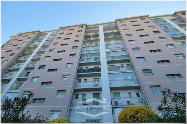 appartamento in vendita a Torino in zona Mirafiori Sud