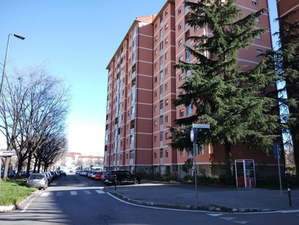 appartamento in vendita a Torino in zona Mirafiori Sud
