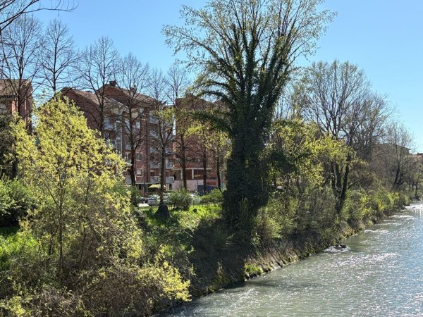 appartamento in vendita a Torino in zona Vanchiglia