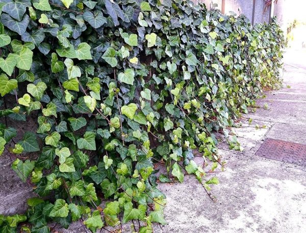 appartamento in vendita a Torino in zona Centro Storico