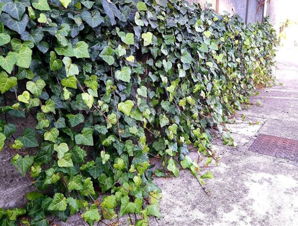 appartamento in vendita a Torino in zona Centro Storico