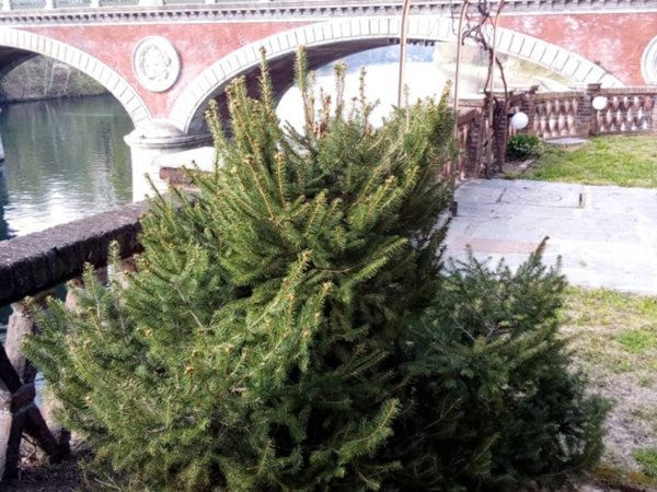 appartamento in vendita a Torino in zona Gran Madre