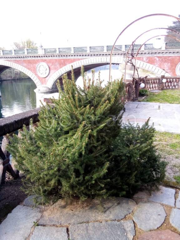 appartamento in vendita a Torino in zona Gran Madre