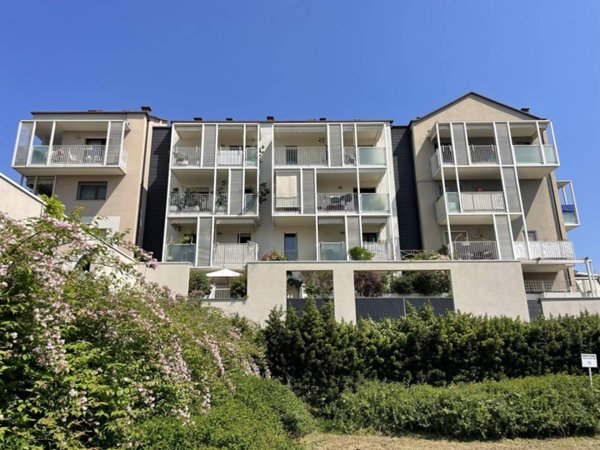 appartamento in vendita a Torino in zona Regio Parco