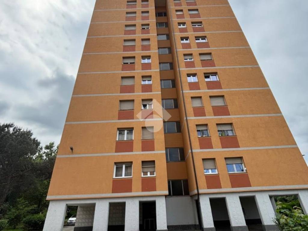 appartamento in vendita a Torino in zona Falchera