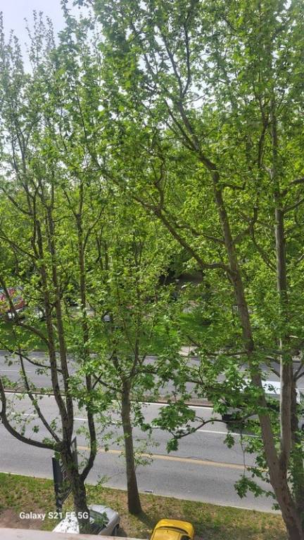 appartamento in vendita a Torino in zona Borgo San Paolo