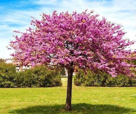 appartamento in vendita a Torino in zona Centro Storico
