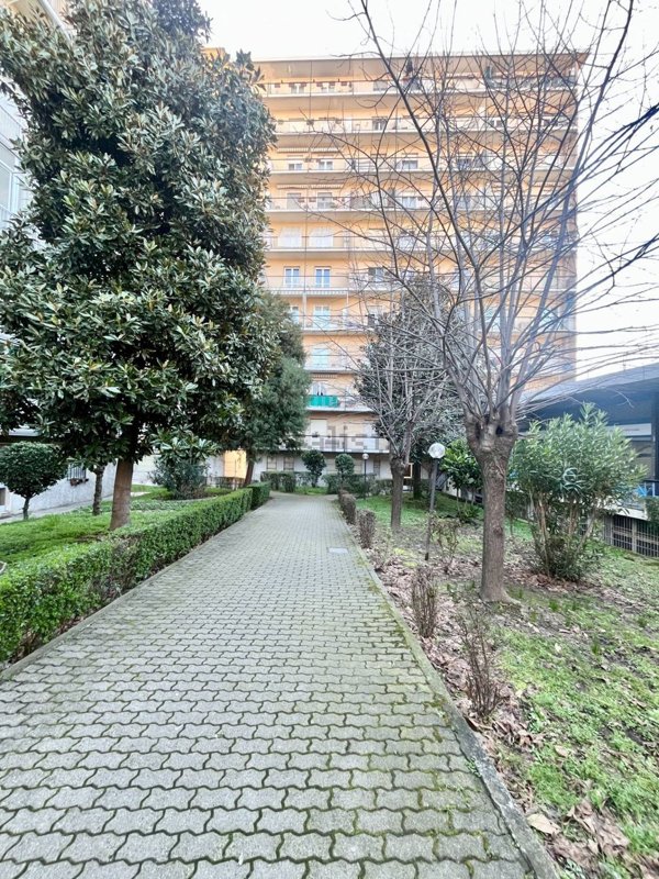 appartamento in vendita a Torino in zona Regio Parco