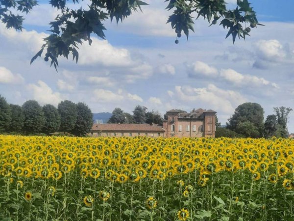 appartamento in vendita a Torino in zona Pozzo Strada
