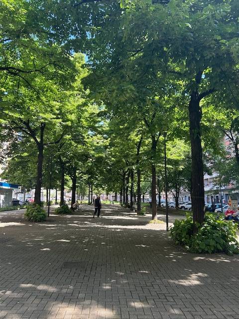 appartamento in vendita a Torino in zona Santa Rita