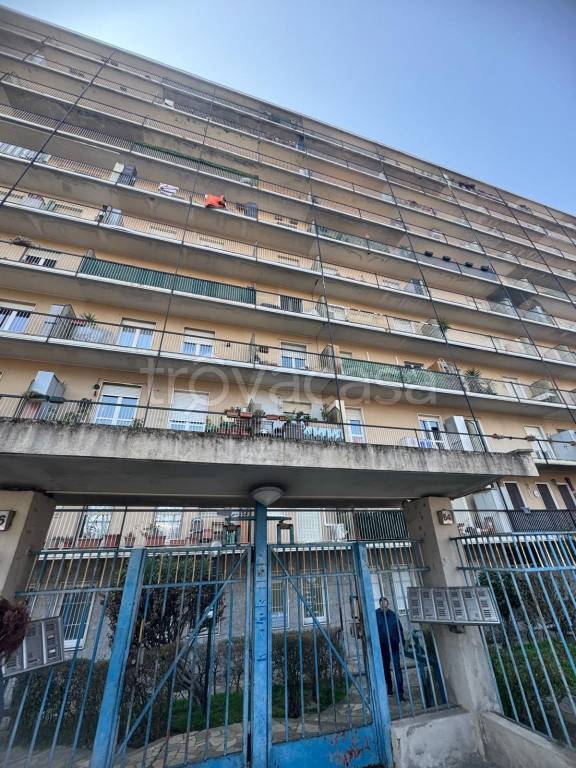 appartamento in vendita a Torino in zona Regio Parco