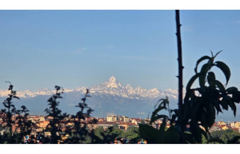appartamento in vendita a Torino in zona Madonna di Campagna