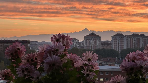 appartamento in vendita a Torino in zona Madonna di Campagna