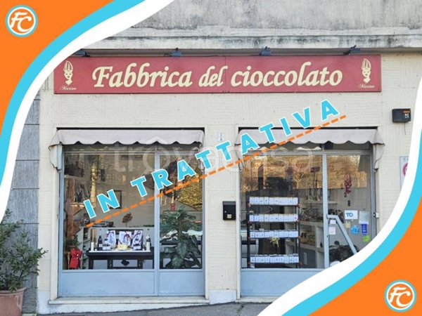 trivano in vendita a Torino in zona Crocetta