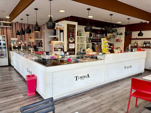 negozio in vendita a Torino in zona Madonna di Campagna