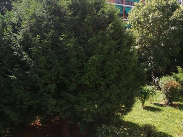 appartamento in vendita a Torino in zona Vanchiglia