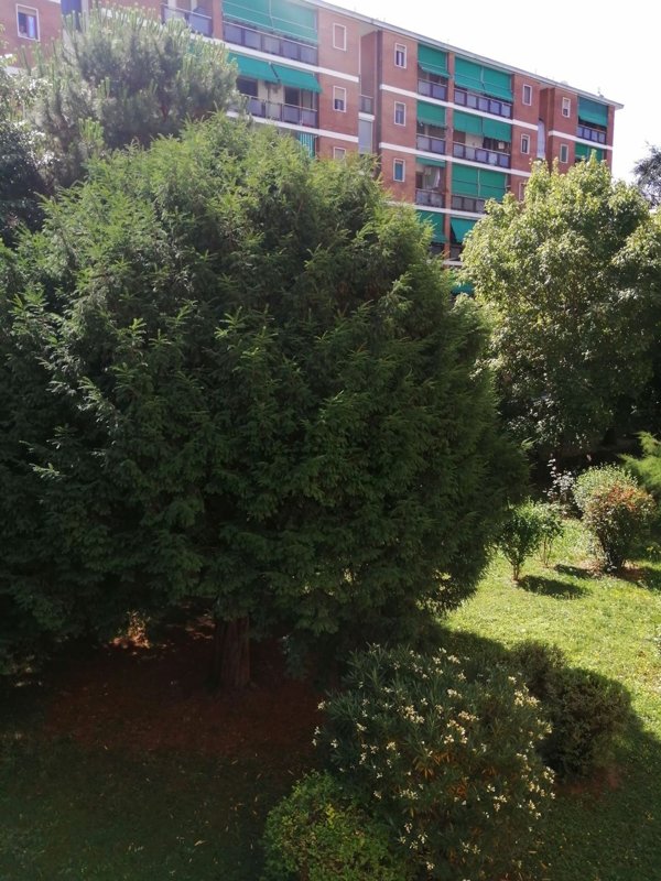 appartamento in vendita a Torino in zona Regio Parco