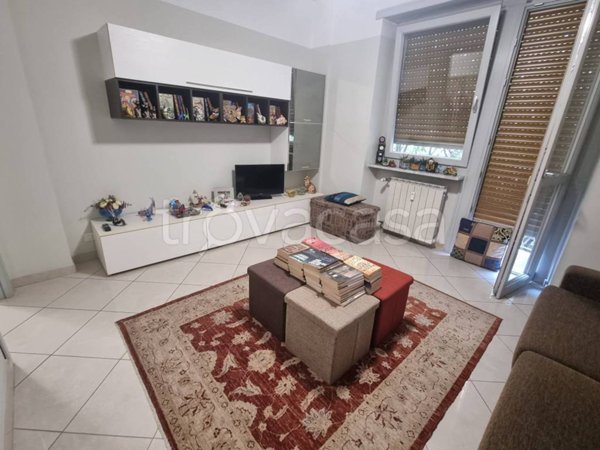 immagine annuncio 0 di 15