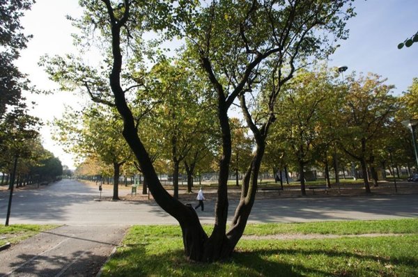 appartamento in vendita a Torino in zona Pozzo Strada