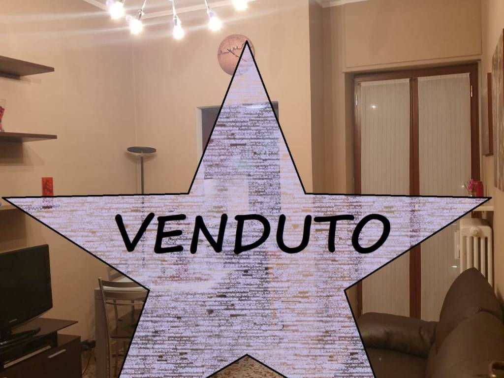 appartamento in vendita a Torino in zona Madonna di Campagna