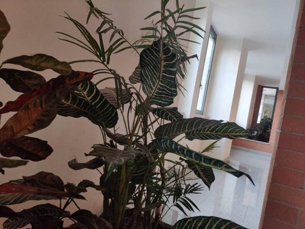 appartamento in vendita a Torino in zona Vanchiglia