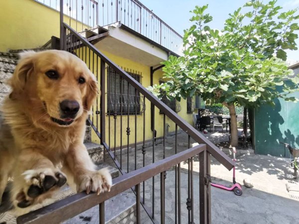 casa indipendente in vendita a Torino in zona Madonna di Campagna