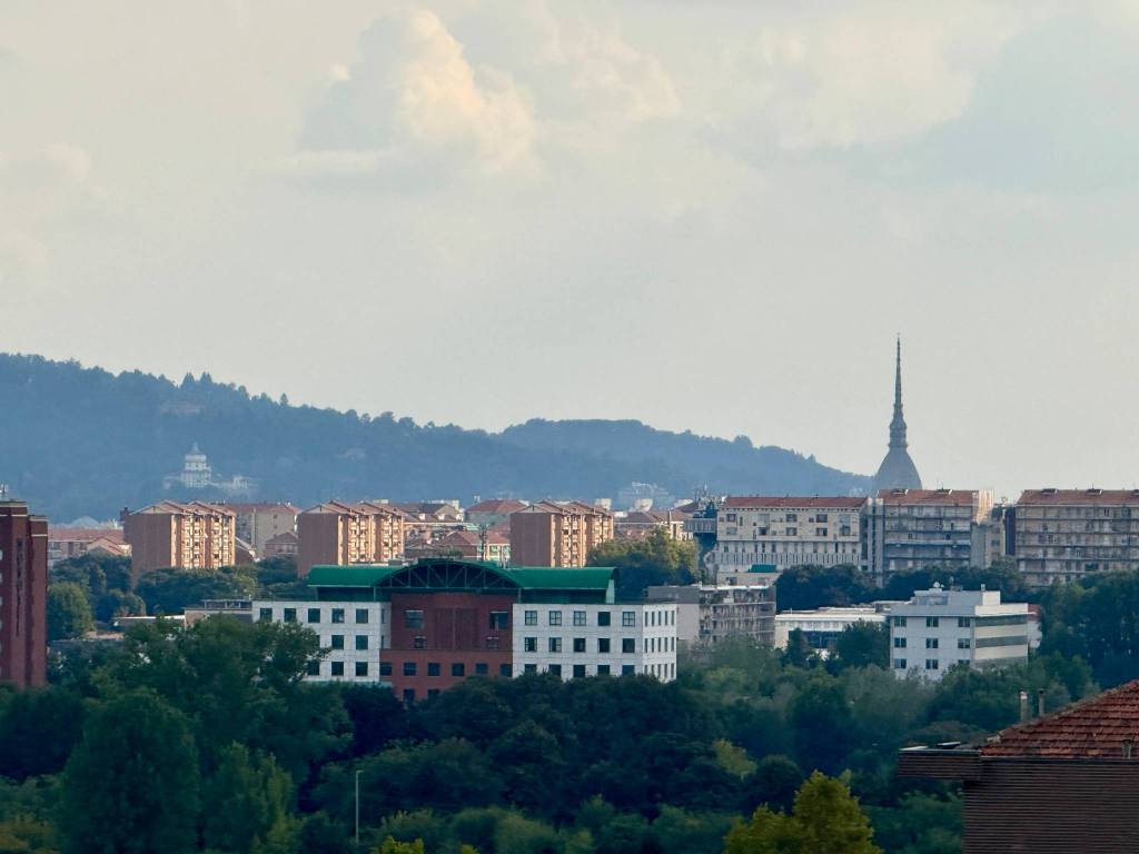 appartamento in vendita a Torino in zona Barca