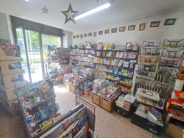 negozio in vendita a Torino in zona Crocetta