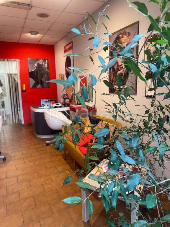 negozio in vendita a Torino in zona Parella