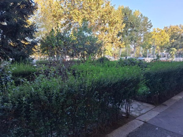 appartamento in vendita a Torino in zona Lingotto